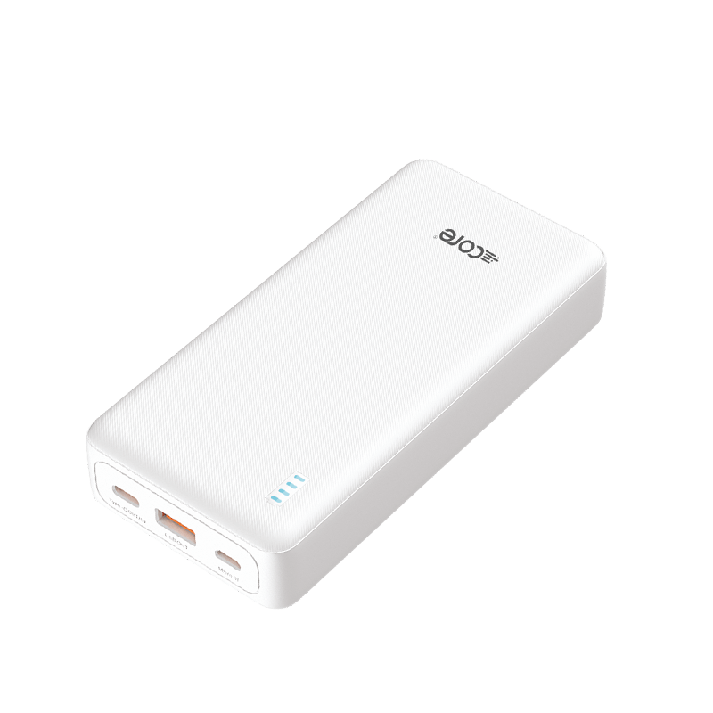 CORE-P24