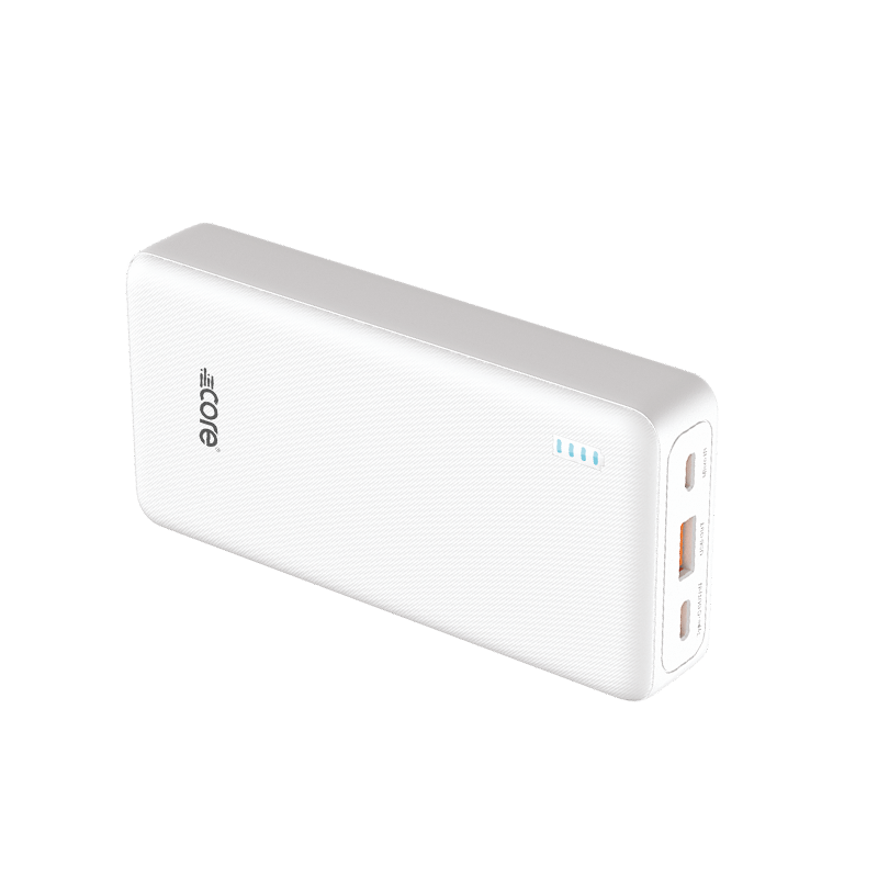 CORE-P24