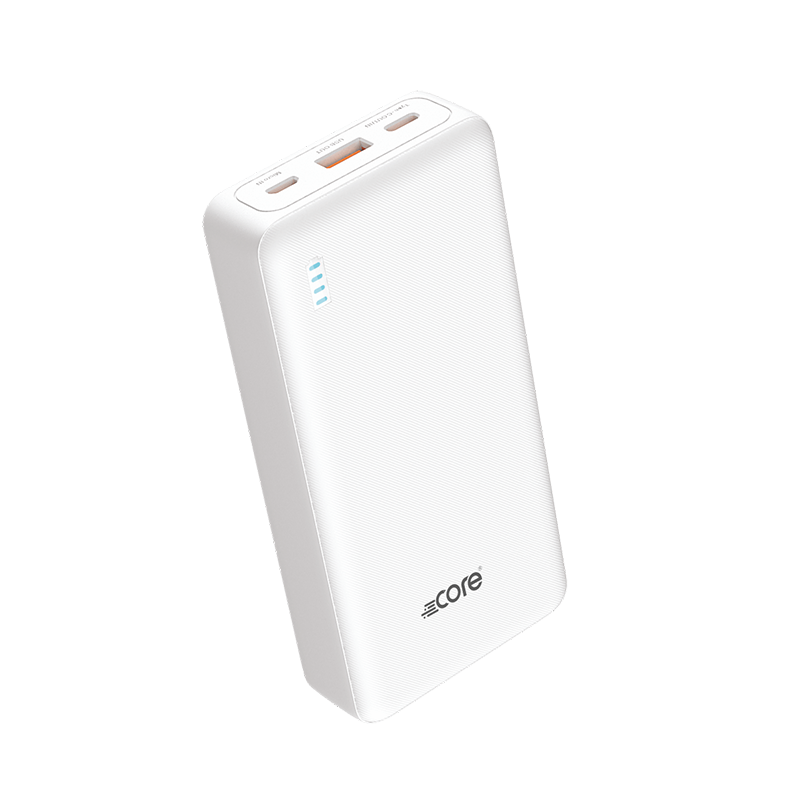 CORE-P24