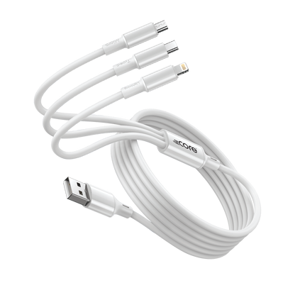 3 in 1 CABLE