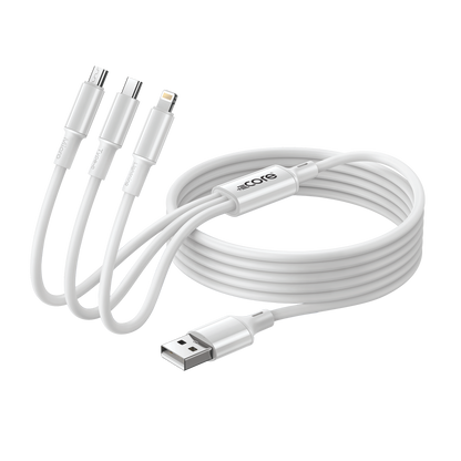 3 in 1 CABLE